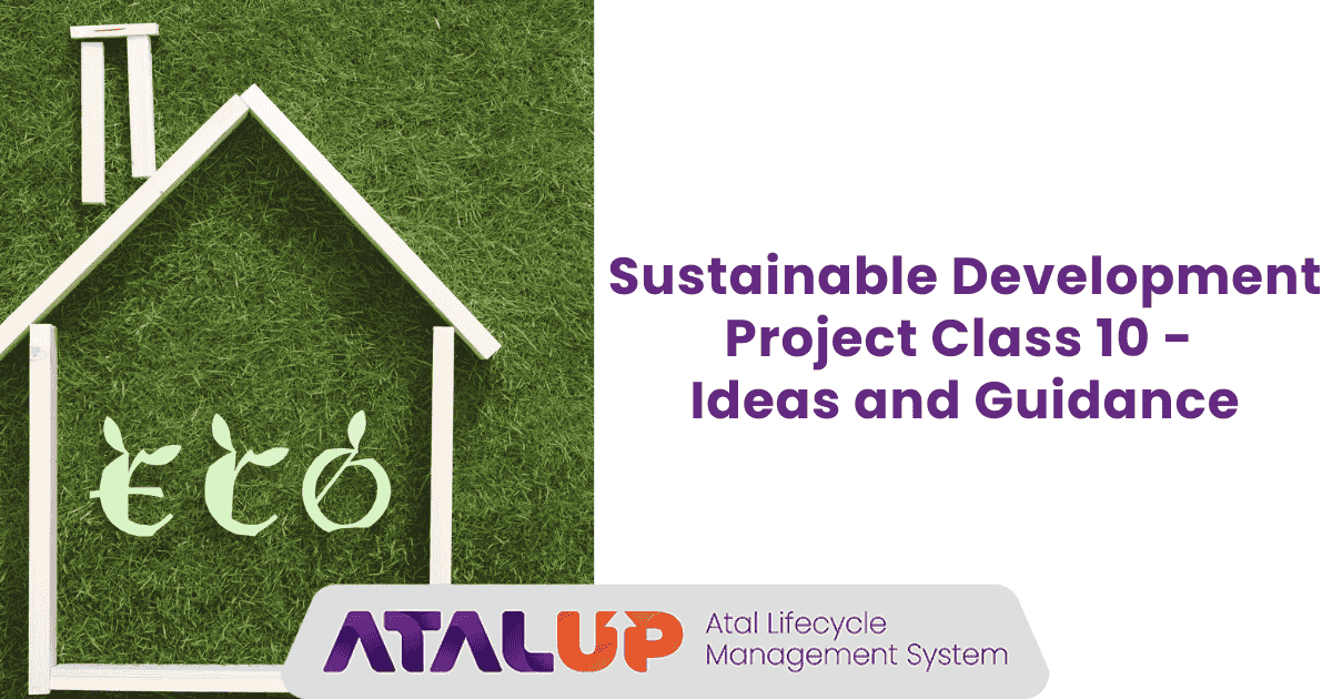 Sustainable Development Project Class 10 - Ideas and Guidance