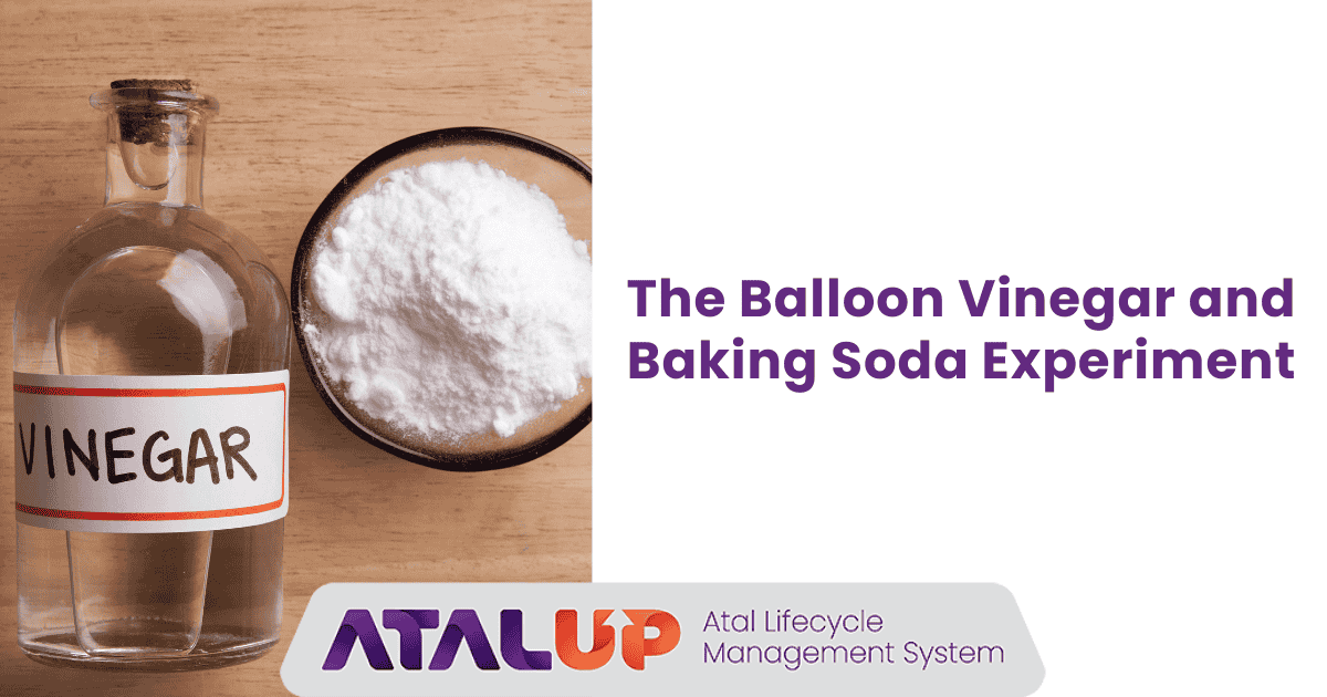 balloon vinegar and baking soda experiment